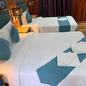 Deluxe Twin Room (No Balcony View)