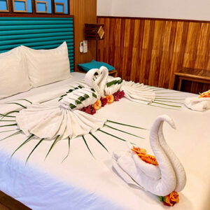 Deluxe Double Room (Pool View)